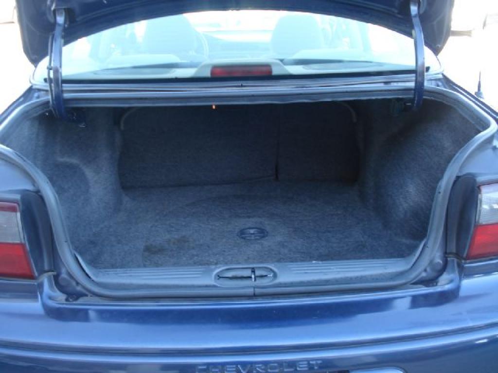 trunk.jpg